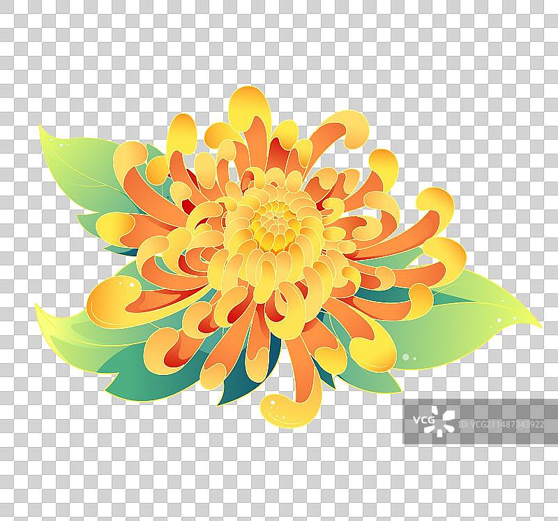 矢量国风菊花插画图片素材