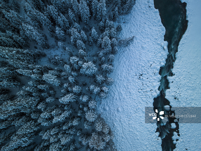 冬日雪域森林图片素材