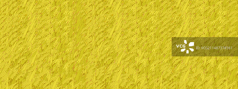 秋天金黄的小麦图片素材