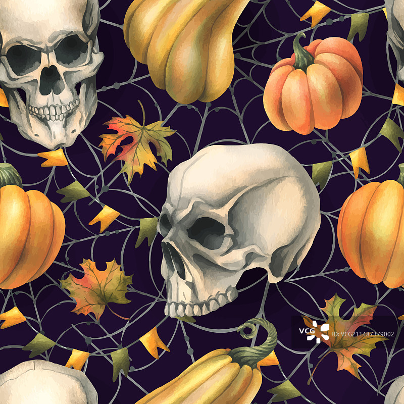 骷髅与橙色南瓜和蜘蛛网图片素材
