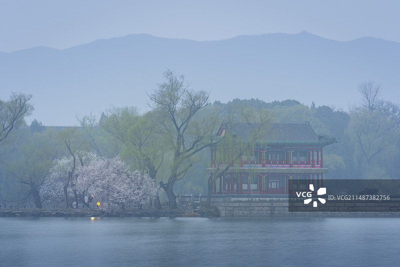 春天桃花绽放的雨中颐和园西堤图片素材