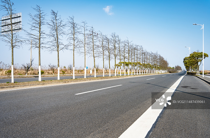 浦东街道图片素材