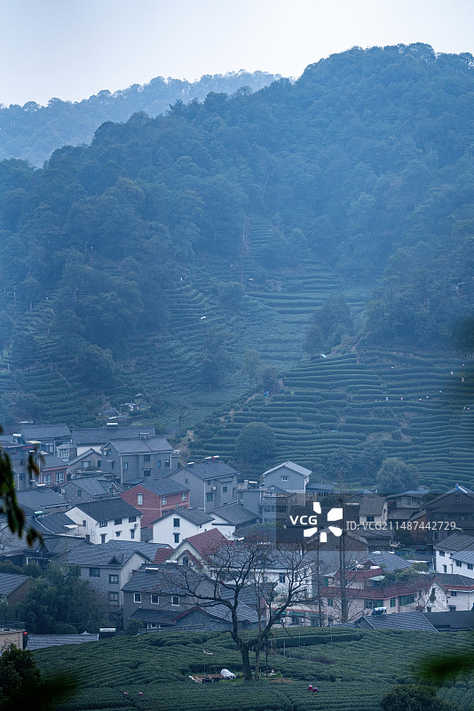 梅家坞村，茶山里的民居图片素材