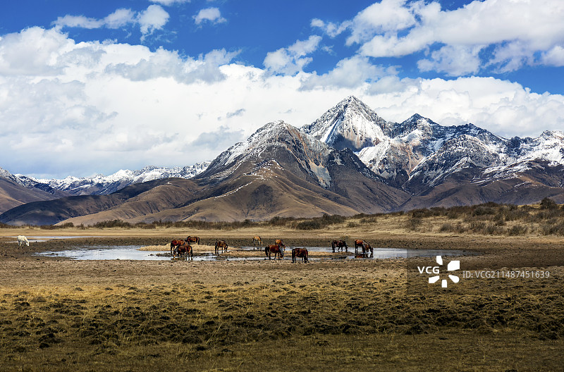 香巴拉深处图片素材
