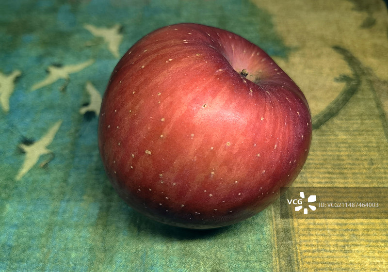 一个红色洛川苹果特写图片素材