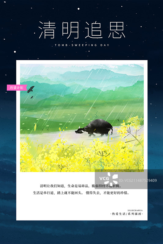 热爱生活 月读计划 -清明节插画海报模版 下雨天时小河里的水牛 路边的油菜花和山水风景小清新 竖版图片素材