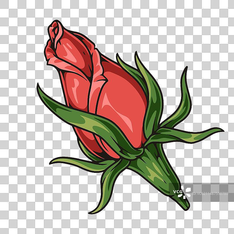 彩色复古玫瑰花苞贴纸图片素材