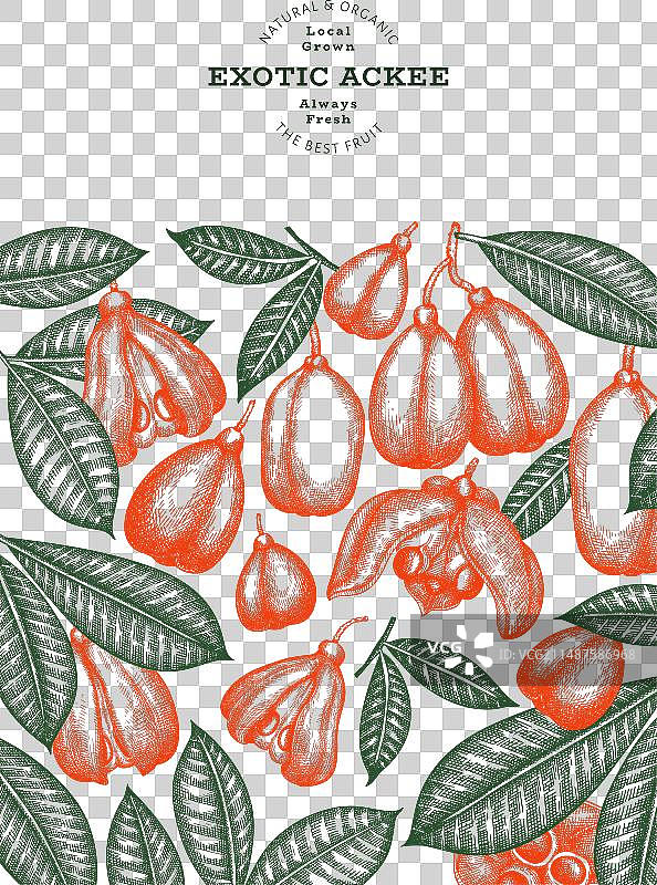 手绘风格阿基果banner图片素材