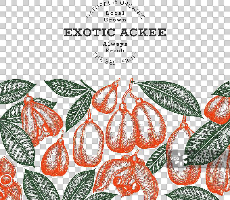 手绘风格阿基果banner图片素材