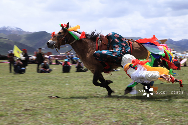 青海玉树结古镇马术表演图片素材