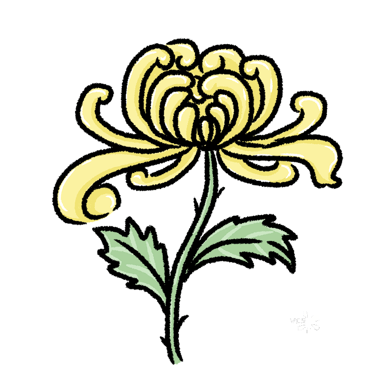 一朵菊花动态插画图片素材