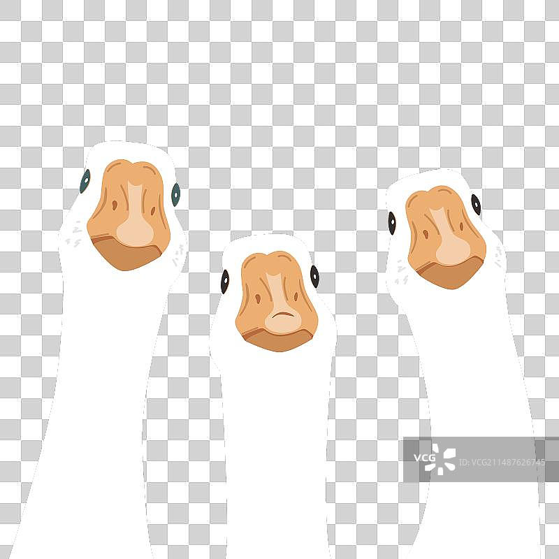 三只可爱的鹅，鸟类设计元素图片素材