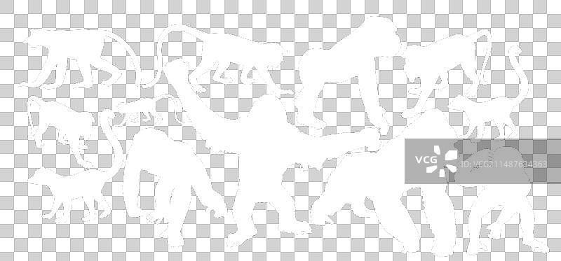 猴子剪影合集图片素材