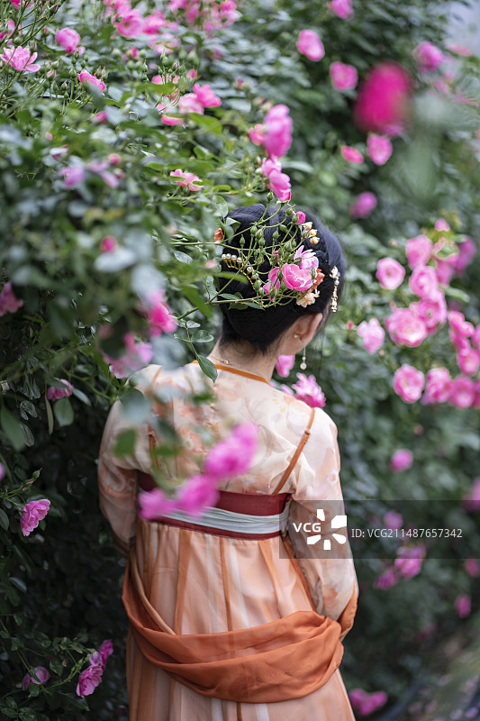粉色花丛中身着汉服的年轻女子图片素材