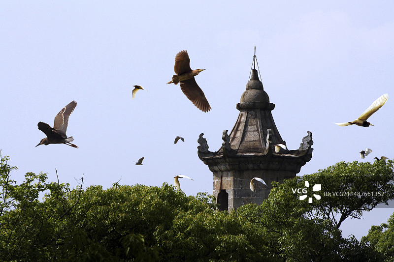 湖南 益阳 桃江 跃龙塔 （熊朝阳摄影）图片素材