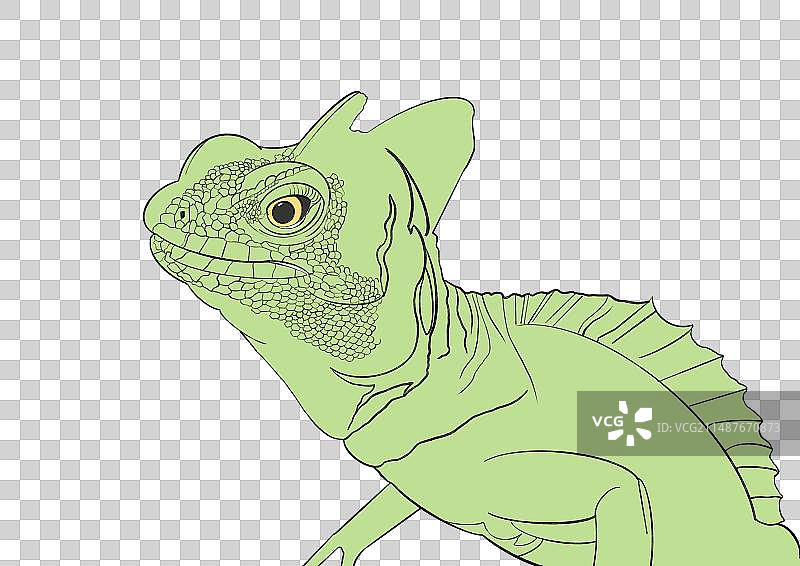 蜥蜴(1)图片素材