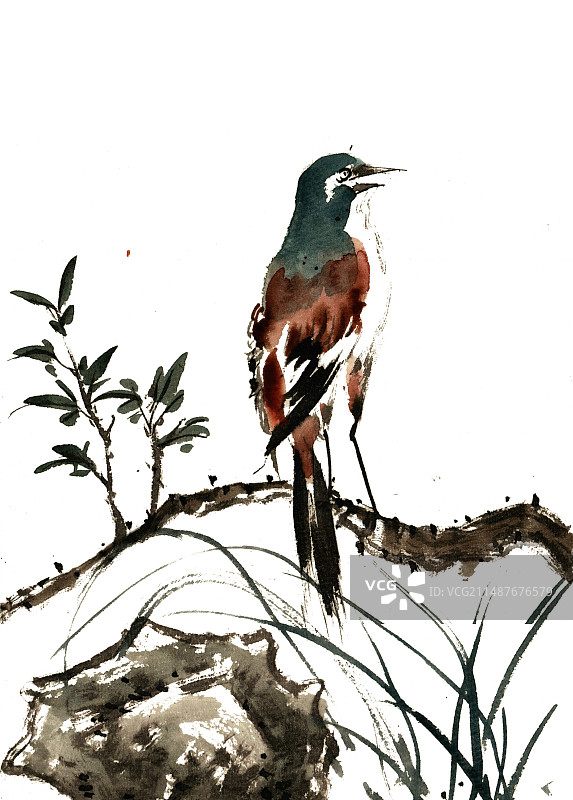 树枝上的小鸟图片素材