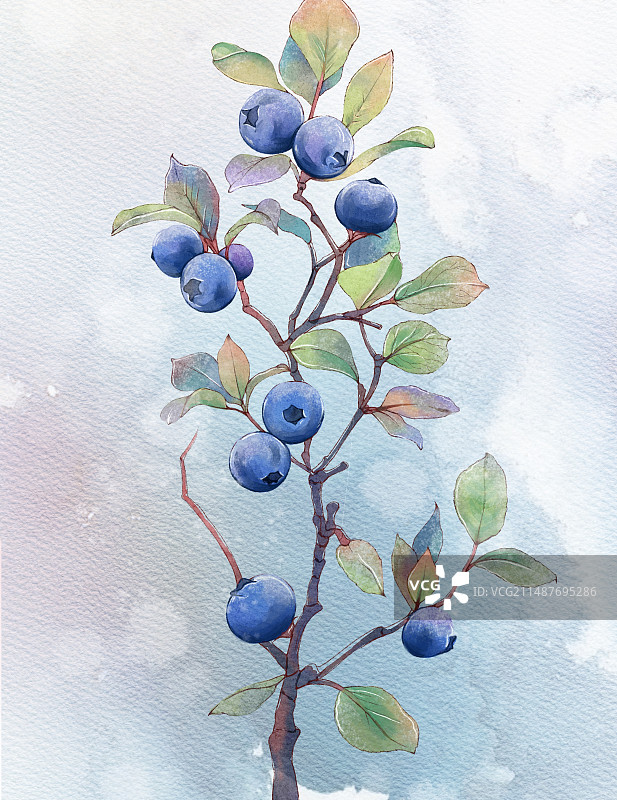 水彩植物图片素材