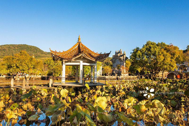 中国云南省保山市腾冲市和顺古镇黄昏荷塘景观图片素材