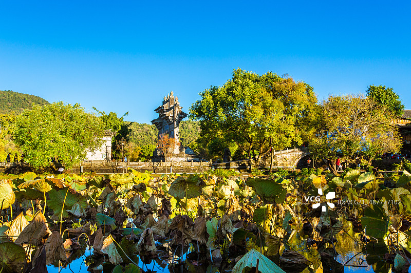 中国云南省保山市腾冲市和顺古镇黄昏荷塘景观图片素材
