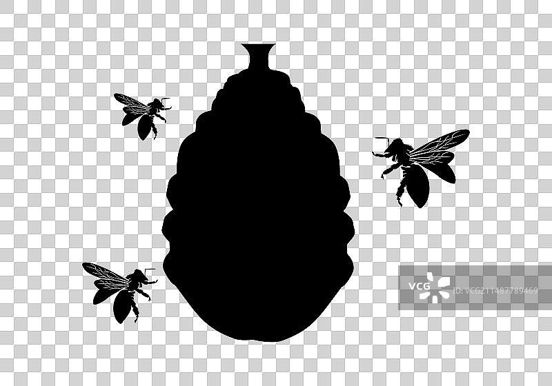 蜂巢设计图片素材