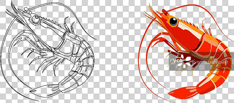 色彩鲜艳、透明的红色甲壳类动物图片素材