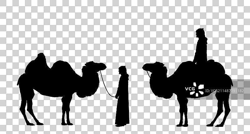 骑骆驼的阿拉伯男子剪影图片素材