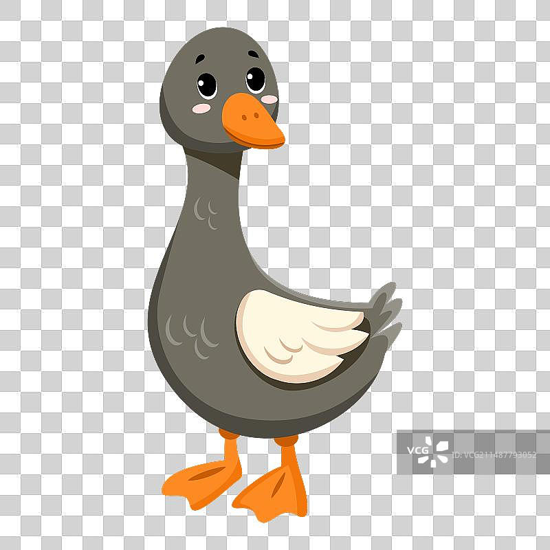 可爱有趣的小鹅图片素材