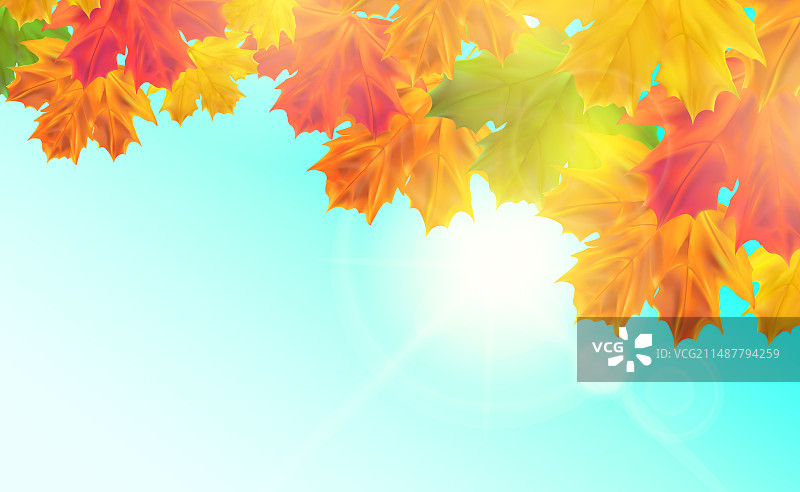 逼真季节性秋叶背景图片素材