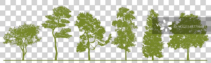 绿色树木的树木轮廓细节图片素材