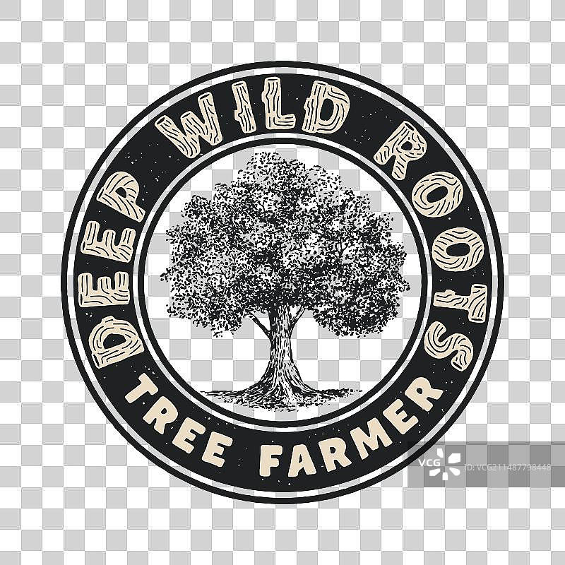 深邃的野生根系图片素材