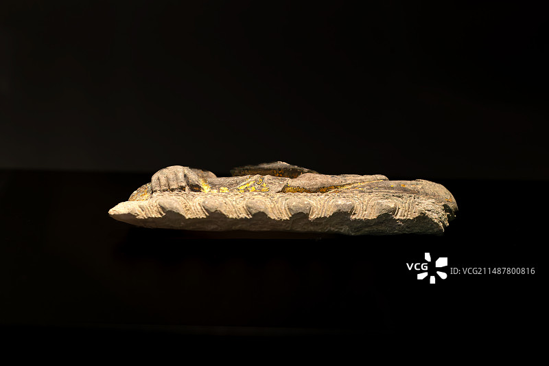 大报恩寺遗址出土的清代贴近佛像砖图片素材