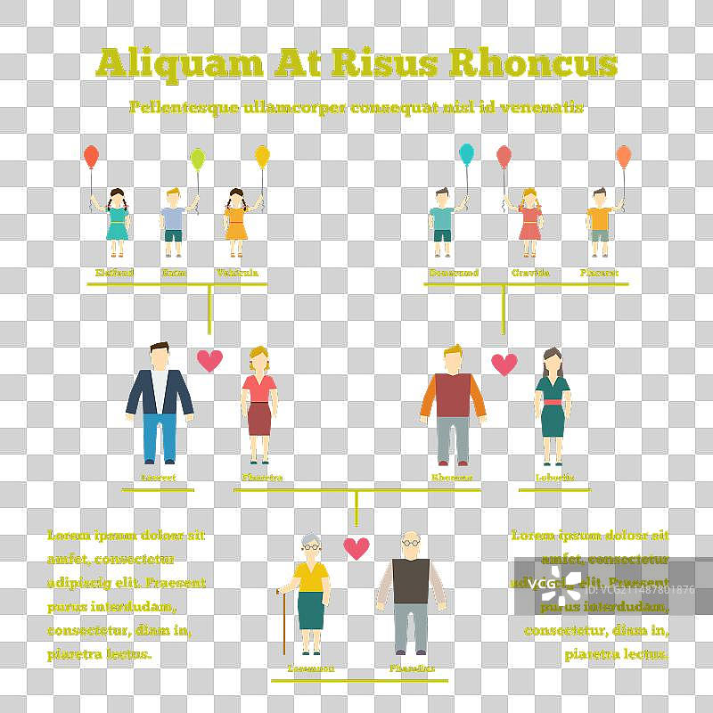 家谱信息图图片素材