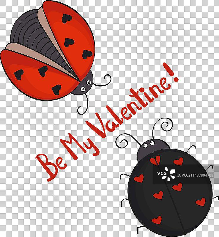 一对可爱的卡通瓢虫，白色背景图片素材