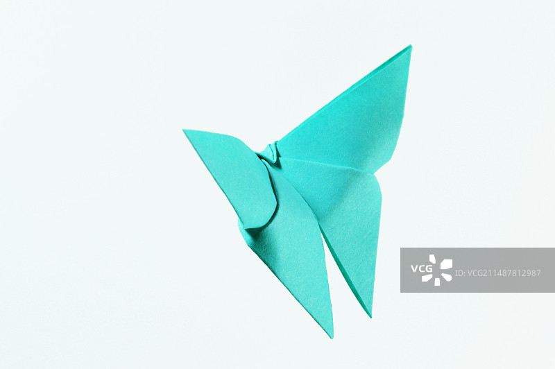 纸蝴蝶图片素材