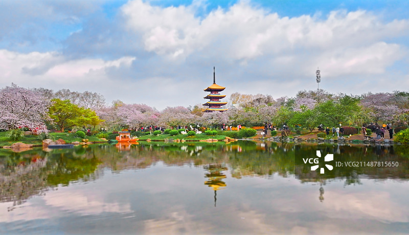 武汉樱花园的童话世界图片素材