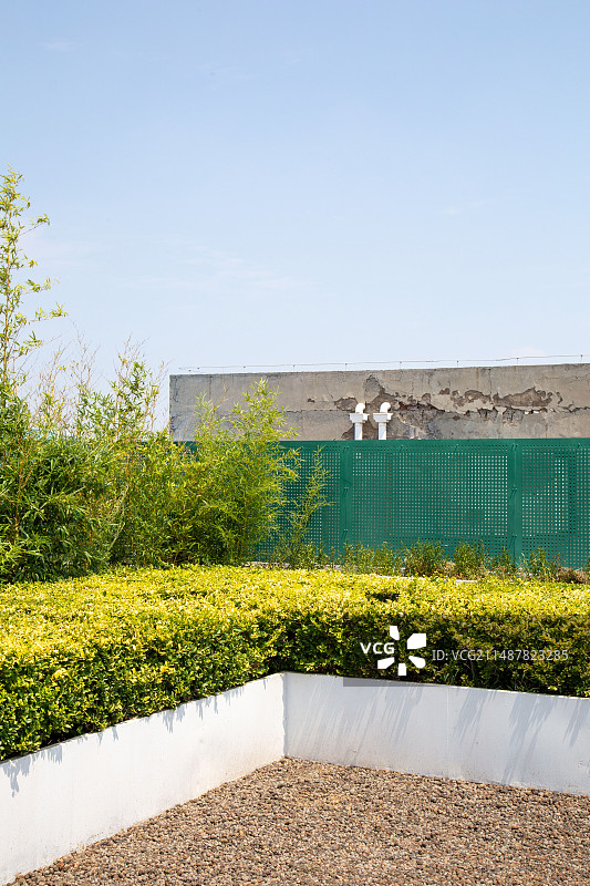 春天里的绿意黯然图片素材