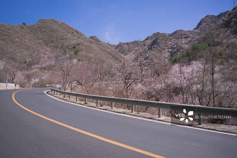 北京昌平区春天桃花盛开的道路图片素材