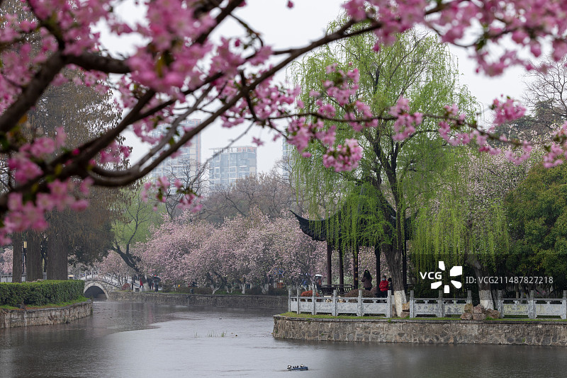 南京莫愁湖公园图片素材