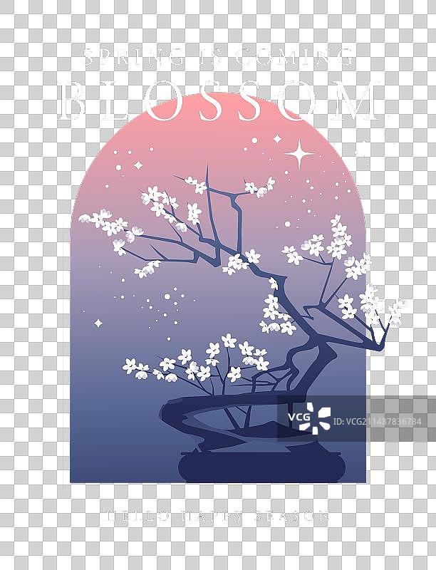 抽象色彩背景上的开花树枝图片素材