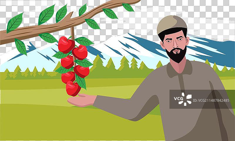 克什米尔男子与苹果树枝图片素材