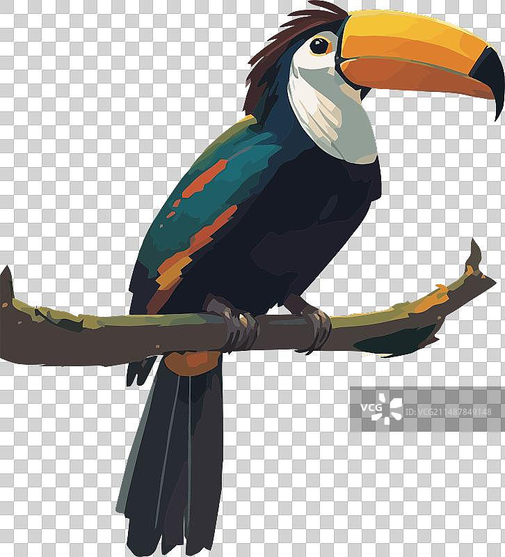 巨嘴鸟艺术作品图片素材