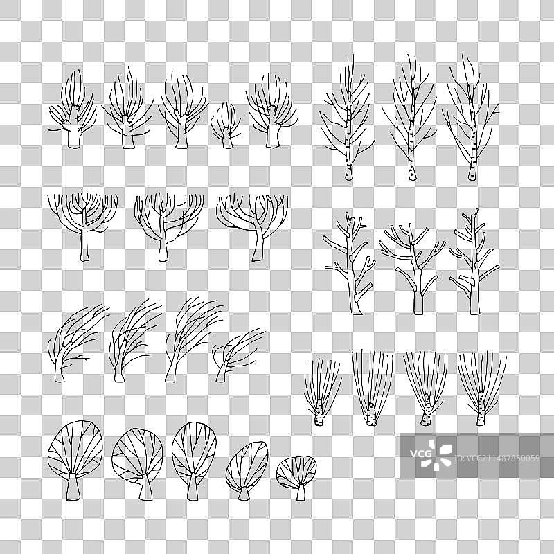 无树叶的树木合集图片素材