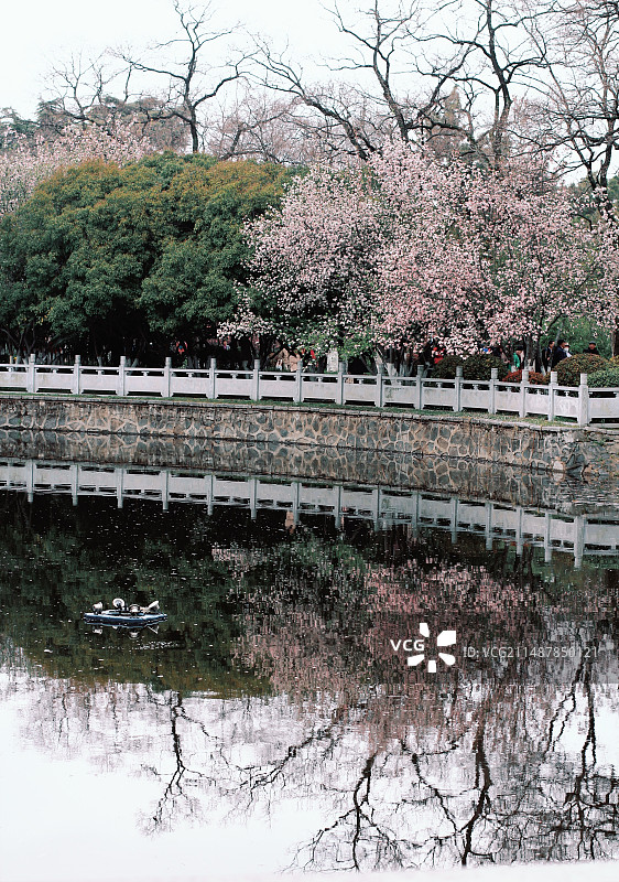 莫愁湖图片素材