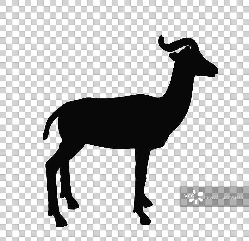 达玛瞪羚剪影图片素材