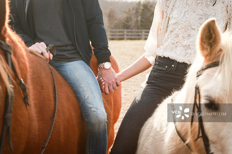 马匹野马骏马图片素材