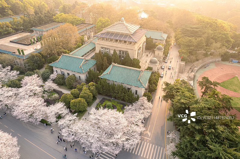 武汉大学樱花航拍图片素材