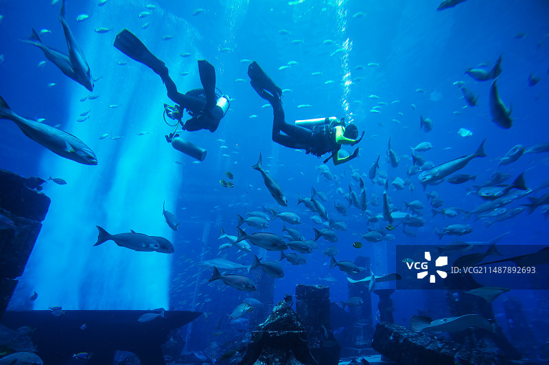 水族馆图片素材