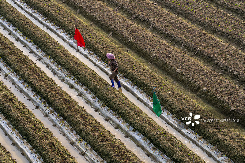 春季新开垦的农田图片素材