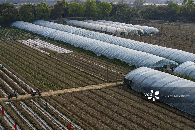 春季新开垦的农田图片素材